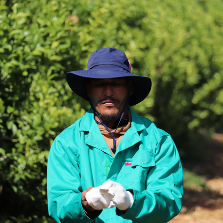 Mr Farmer Icon Workwear Overall Conti Jacket
