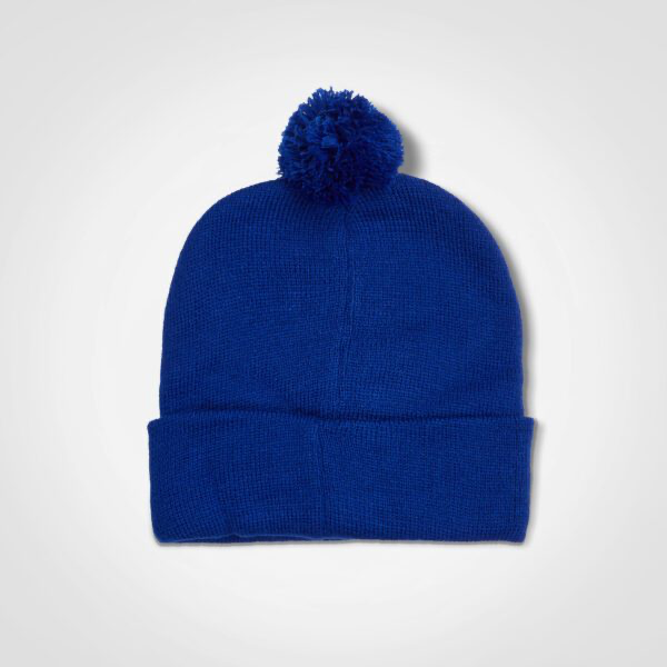 Alpine Beanie Royal Blue